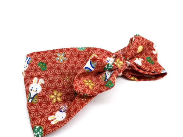 Lapin Japonais (nouveau-née) – Image 2