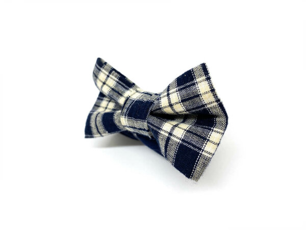 Tartan Bleu – Image 2