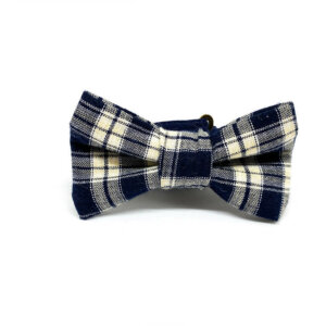 Tartan Bleu