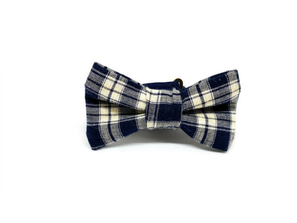 Tartan Bleu