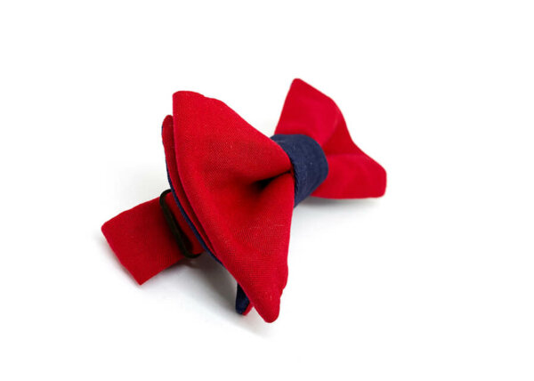 Bleu Rouge réversible (4 en 1) – Image 6