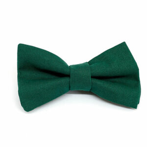 Vert sapin
