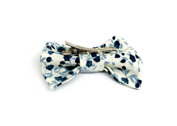 Prince Bleu Neige – Image 2