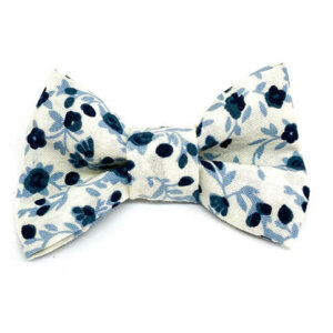 Prince Bleu Neige