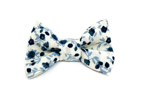 Prince Bleu Neige
