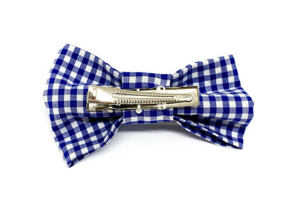 Vichy bleu – Image 2