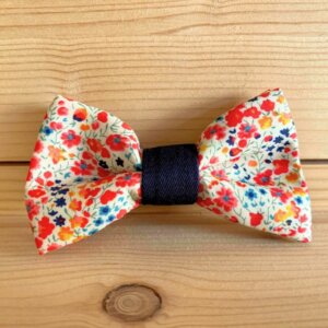 Barrettes